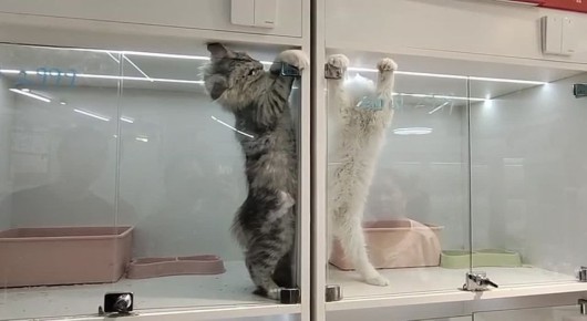 Бодрого утра!. Обычная поездка в автобусе, когда не нашел свободного места