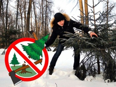 Уважаемые жители Кирилловского сельского поселения!