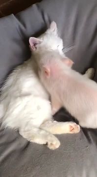 Долгожданный вечер пятницы