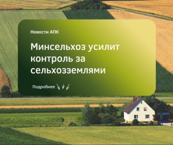 Правительство РФ утвердило механизм контроля за переводом сельхозземель в другие категории