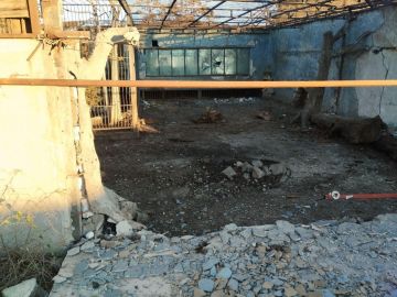 ВСУ ударили дронами по Васильевскому зоопарку в Запорожской области