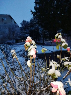 Желаем всем по-настоящему доброго утра!