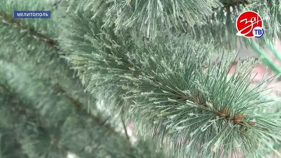 �� ������� ������ ������������� ������� ���������� ���� ����������