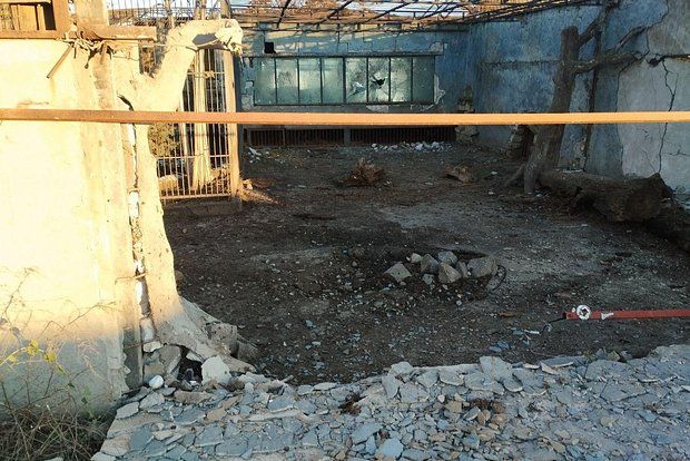 ��� ������� ���������� ������� ����� ����� ��� �� �������� � ����������� �������