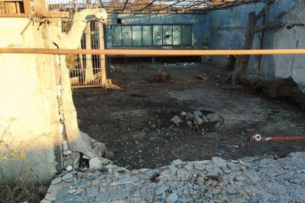 Лев получил осколочные ранения после удара ВСУ по зоопарку в Запорожской области