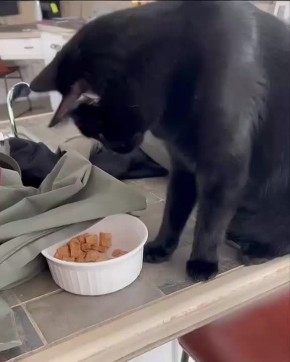 Главное — слаженная работа