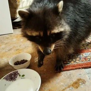 Доброе утро, друзья! Хорошего вам дня и отличного настроения!