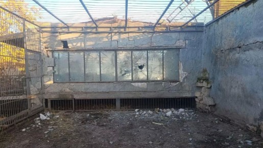 ВСУ нанесли удар по зоопарку в Запорожской области – Балицкий