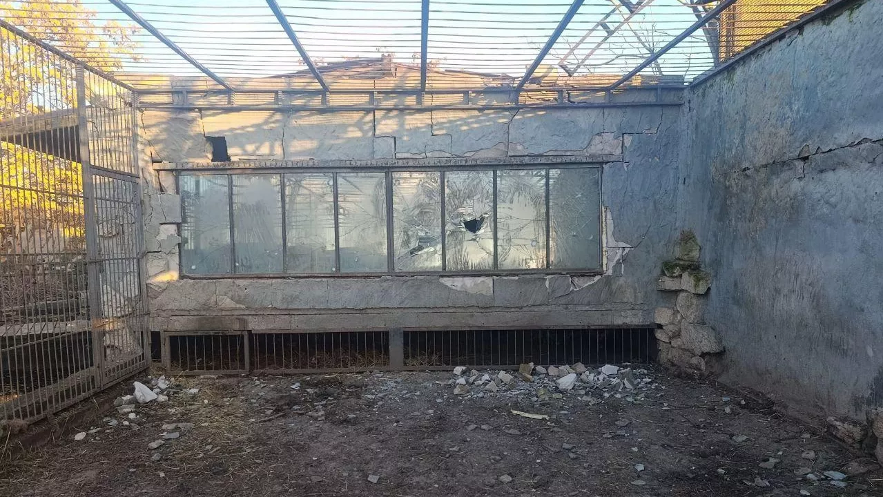 ВСУ нанесли удар по зоопарку в Запорожской области – Балицкий
