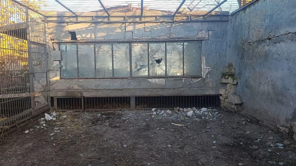 ��� ��������� ������� ������� � ����������� �������, ��������� ���