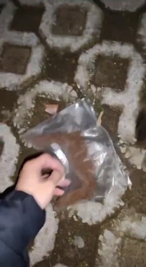 О, ужин. Хватай и беги, так вкуснее