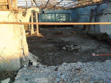 Пострадавший при атаке ВСУ на зоопарк в Васильевке лев умер, заявил Рогов