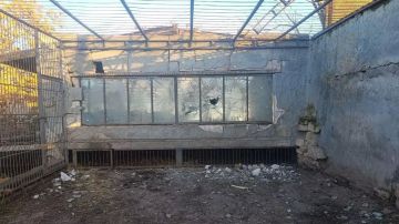 ВСУ нанесли удар по зоопарку в Запорожской области – Балицкий