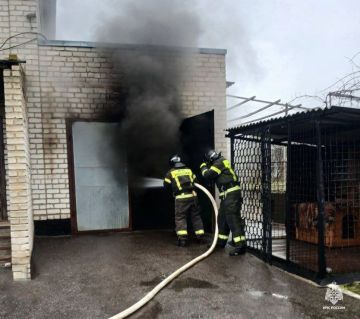 Оперативная информация за сутки