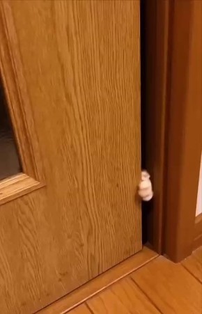 Ой, а что, воскресенье?. Главное — пусть выходной пройдет продуктивно