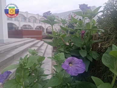 Доброе утро, друзья!. Православная церковь 14 декабря вспоминает пророка Наума — одного из 12 малых пророков Ветхого Завета