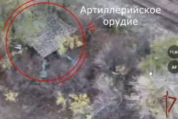 Расчёт ударных БПЛА Росгвардии уничтожил артиллерийское орудие и пункт временного размещения личного состава противника на Запорожском направлении (видео)