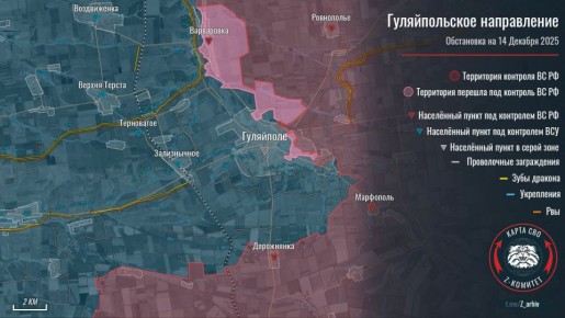Наступление ВС РФ на Гуляйпольском направлении