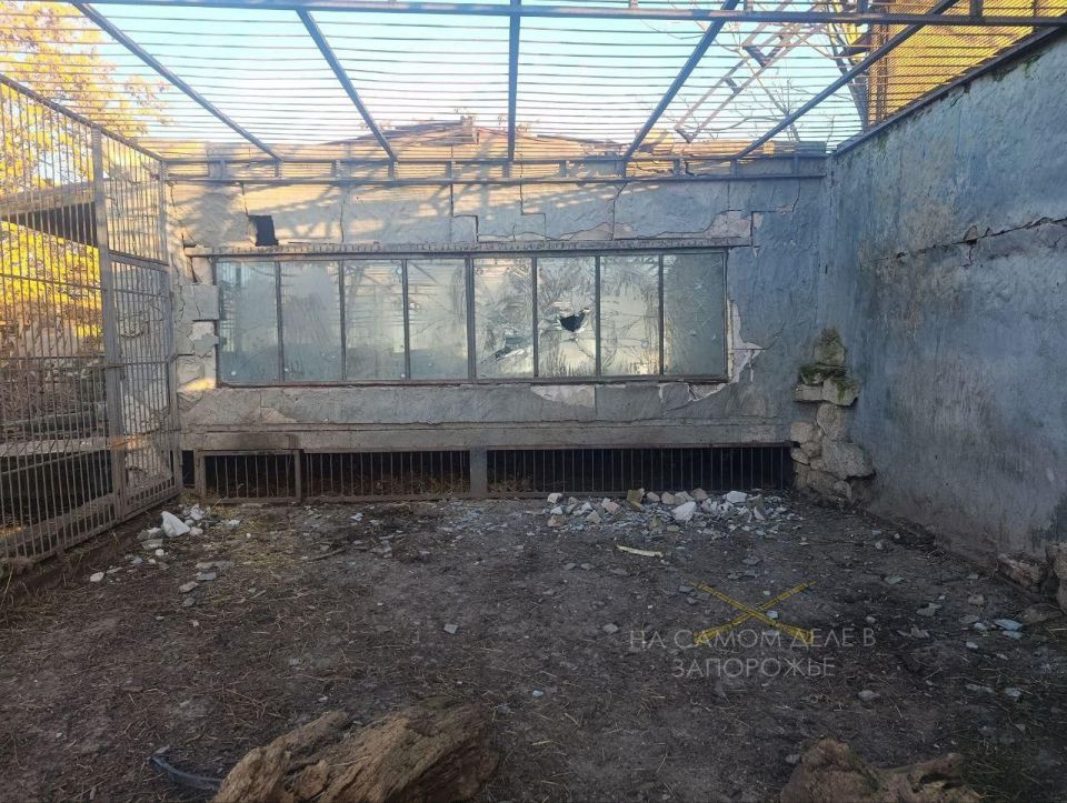 ���� ���, ������� ��� ����� ���������� ���� � ������������ ��������