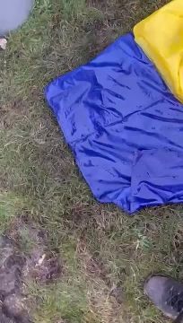  : #_. 3    42 , 291     ,       200-