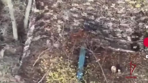 Расчёт ударных БПЛА Росгвардии уничтожил артиллерийское орудие и пункт временной дислокации личного состава противника на запорожском направлении