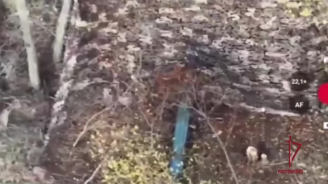 Расчёт ударных БПЛА Росгвардии уничтожил артиллерийское орудие и пункт временной дислокации личного состава противника на запорожском направлении