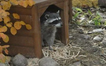 Доброе утро, друзья! Хорошего вам дня и отличного настроения!