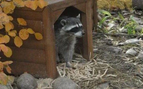 Доброе утро, друзья! Хорошего вам дня и отличного настроения!