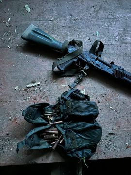 Сотрудниками полиции Запорожской области был выявлен схрон с боеприпасами