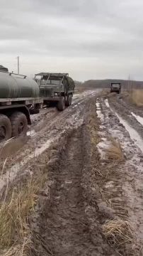 Будни СВО. ЗАПОРОЖСКИЙ ФРОНТ