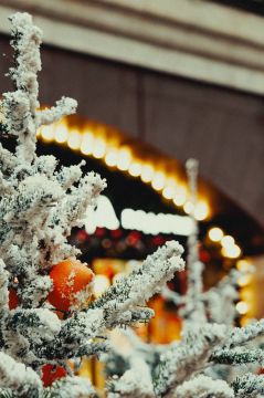 Продолжаем рубрику «Красота — она в деталях»!