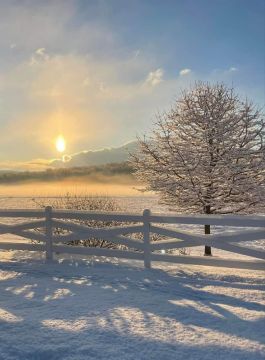 Лёгкого начала дня!
