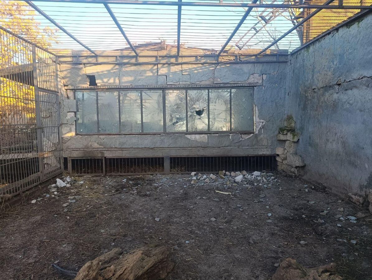 Владелец зоопарка в Запорожской области назвал виновных в ранении льва