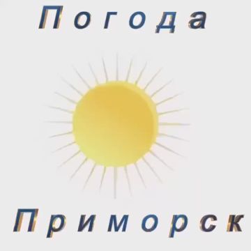 Погода Приморск (Приморский район), 15.12.2025