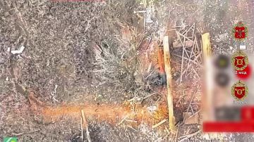 Расчёт БпЛА 30 мсп 44 Армейского корпуса ликвидировал боевика ВСУ точным сбросом боеприпаса с беспилотника