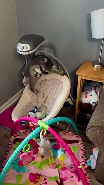 ������ ����, ������! �������� ��� ��� � ��������� ����������!