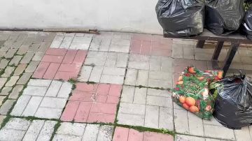 Анна Хорошун: Предновогоднее настроение от наших друзей из Москвы