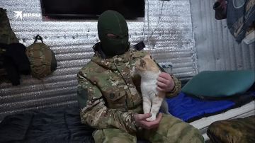 ��� ����� ���������� � ��������� � ������ �� ���������