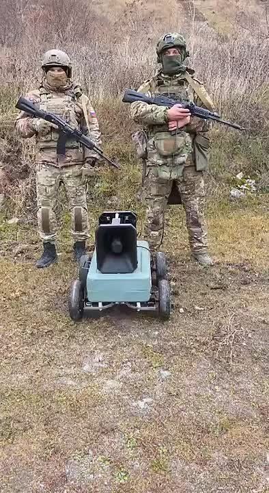 ���������� ����� ��������������� ����� �� ���������� � ������� #������������