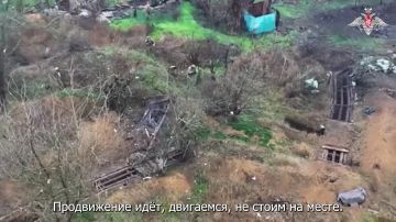 Подразделения группировки войск «Восток» ведут активные штурмовые действия в Запорожской области в районе Гуляй-поля