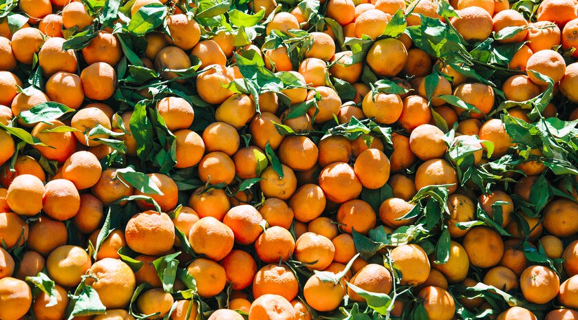 Абхазия отправила в исторические регионы России новогодние подарки с мандаринами