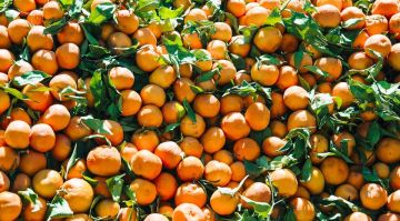 Абхазия отправила в исторические регионы России новогодние подарки с мандаринами