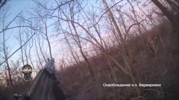 Работа разведчиков армейского спецназа Группировки войск «Восток» во время боев за Варваровку на Запорожском участке фронта