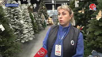 Съёмочная группа «За!ТВ» сравнила цены и узнала, сколько стоит самая бюджетная ёлка и средняя по цене