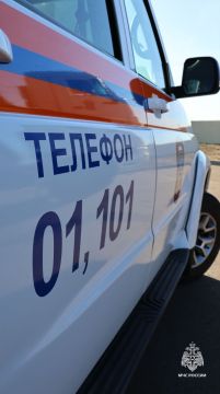 Оперативная информация за сутки