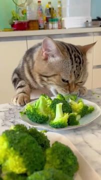 Вот и новый рабочий день. Полезно завтракаем и на работу