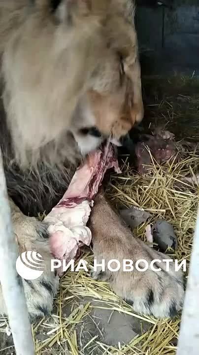 ������������ �� ����� ��� ��� ��� ��� �� ��������