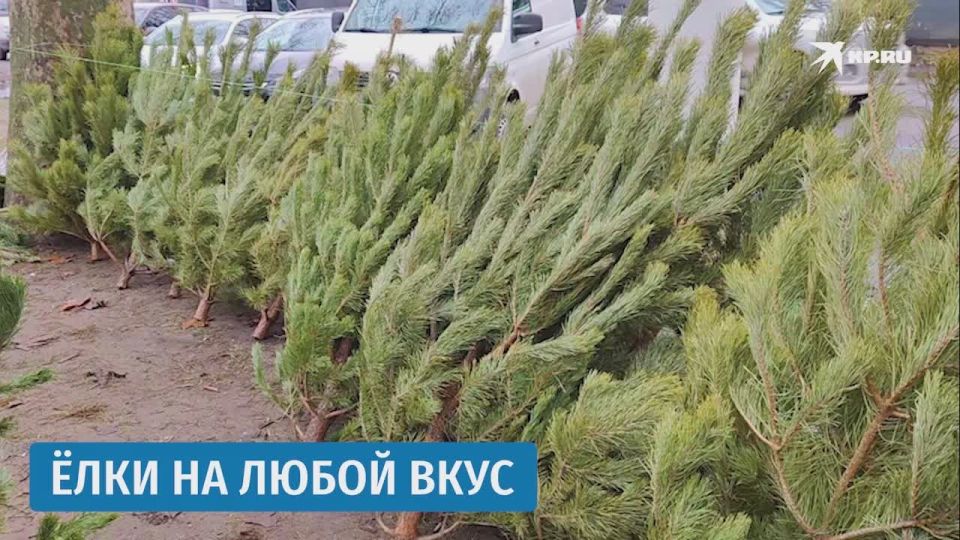 ��� � ���������� ������ ����: ������ �������