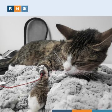 � ������ ������� ������������� ��������� ��������� ������ ��������