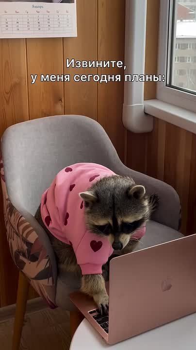 ������ ����, ������! �������� ��� ��� � ��������� ����������!